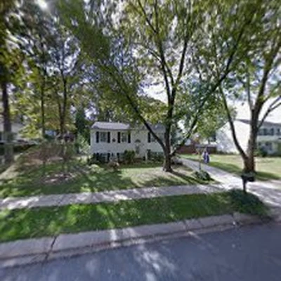 White Oak Tree Expert