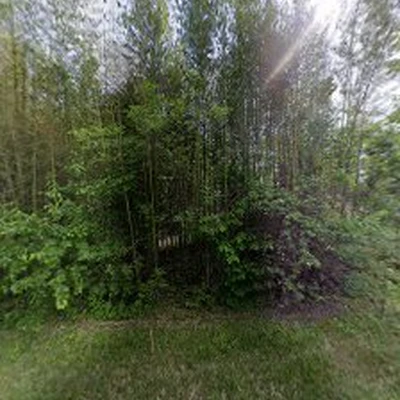 ClearTree, LLC