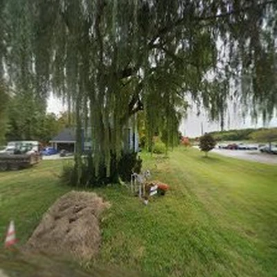 Trapp Tree Service
