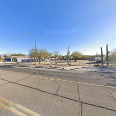 Arizona Cactus & Trees