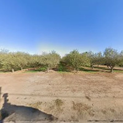 D Pro Tree Service