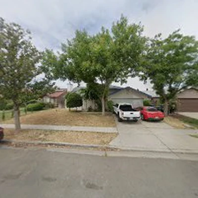 LVR tree service