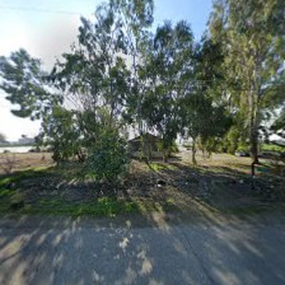A Clean Cut Tree Service