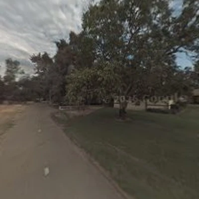 Gutierrez Tree Care 1