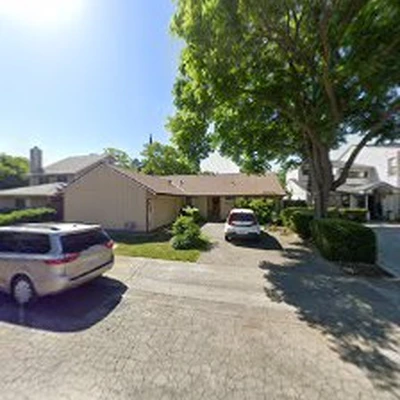American Arbor Tree Care