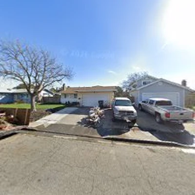 Bay to Sac Tree Services