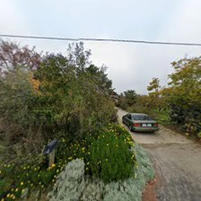 R&D Tree Service