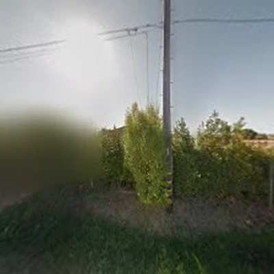 AAA tree service