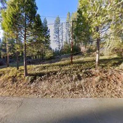 Tree Service Foresthill.