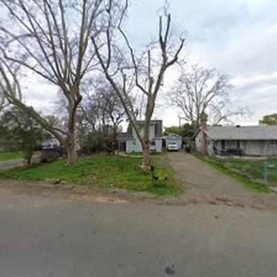 YIL Tree service