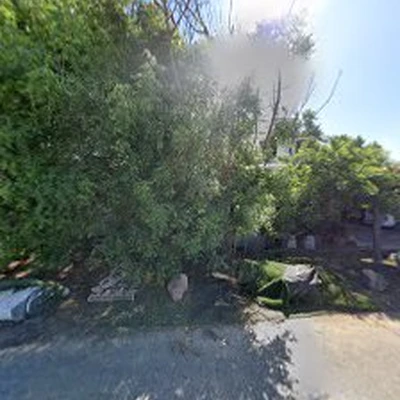 Larry Weltch Tree Relocation