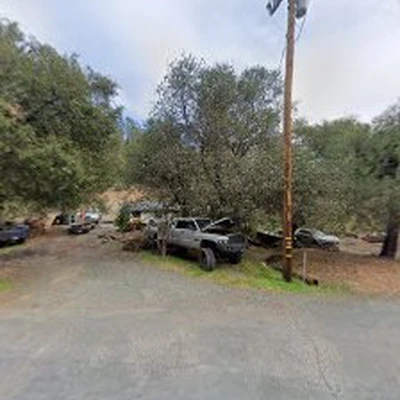 Lyons Tree Service