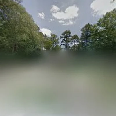 Southern Touch Tree Service
