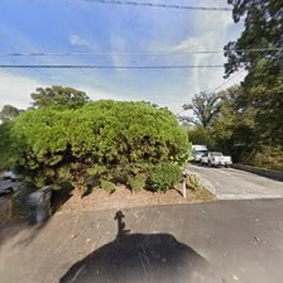 David Tree Service LLC