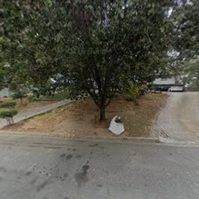 Norcross Tree Services