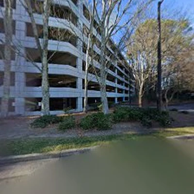 TreeXpertAtlanta