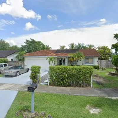 Miami Tree Service