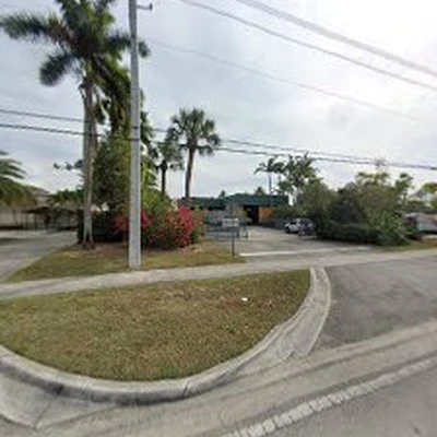 Native Tree Service