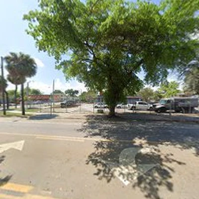 True Tree Service