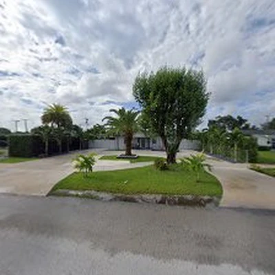 Dreidy & Brother Miami Tree Service | Cortadores de árboles y palmas en Miami