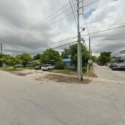 Discount Tree Services Miami