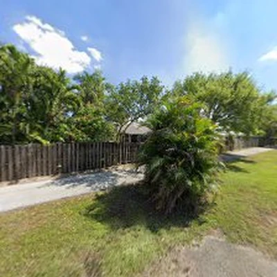 Davie Florida Tree Service