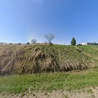Stump's Be Gone llc