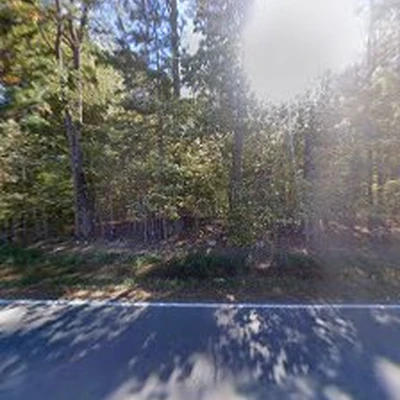 Treemasters Professional Tree Service