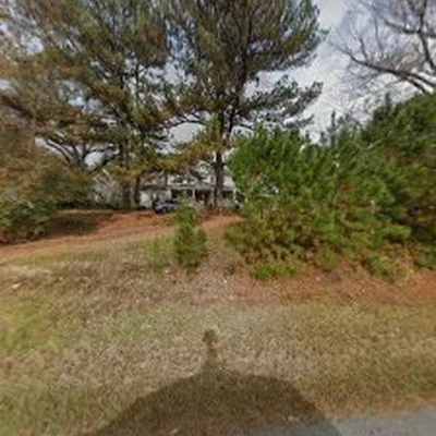 Danilo Vasquez tree service LLC