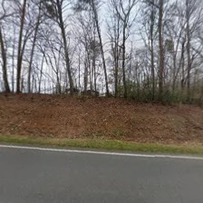 Elite Arborist Tree Pros