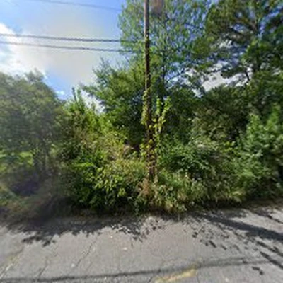 Historic Tree Care