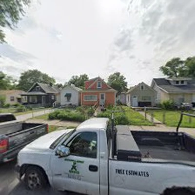PROFESSIONAL ARBORIST SERVICE