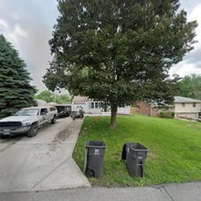 Royal Arborist Tree Service LLC..