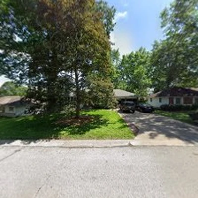 Branch Tops Tree Removal and Trimming