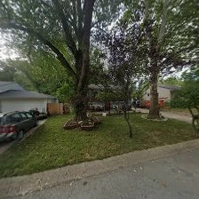 Our Backyard Lawn and Tree