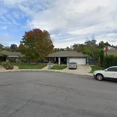 Affordable Tree Guys of Laguna Niguel