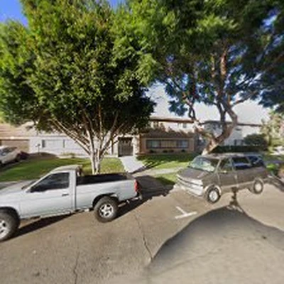 Garden Grove Tree Experts