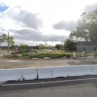 Tree Service Costa Mesa