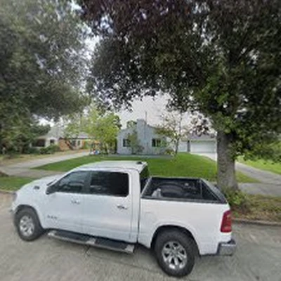 BG Tree Service and Landscape