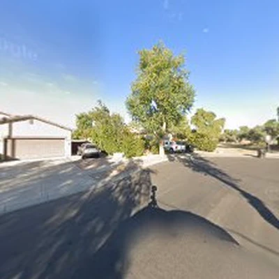 Power Ranch Arborists