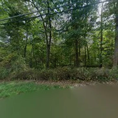 RKD Tree Services