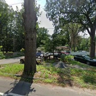 1-844-3-CUT-TREE