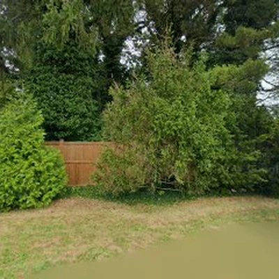 Amagreen Tree & Lawn Service