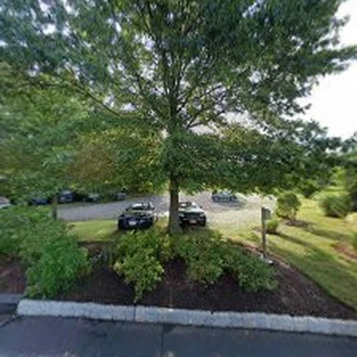 Arbor releaf tree expert's LLC