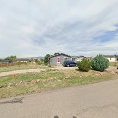 Arbor One Tree Service
