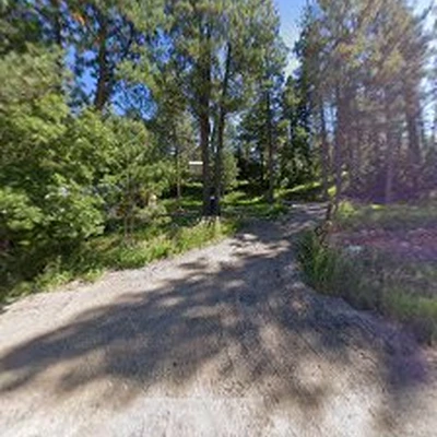 Forrest Tree Service, Llc