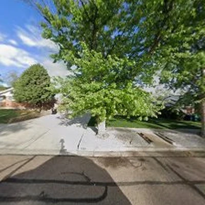 Abes Tree Expert LLC