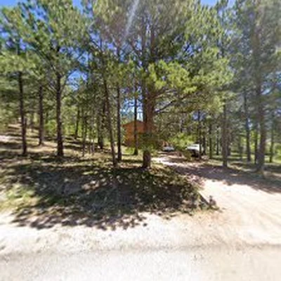 Pineland Tree Services