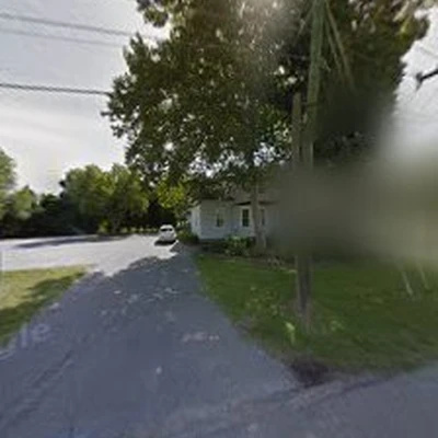 Orleans Co. Tree Service