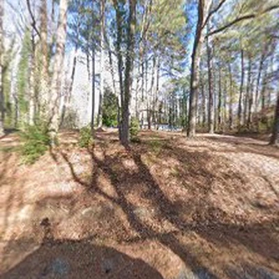 Northern Neck Arborist